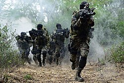 A patrol of commandos advancing through a smoky forest with rifles raised